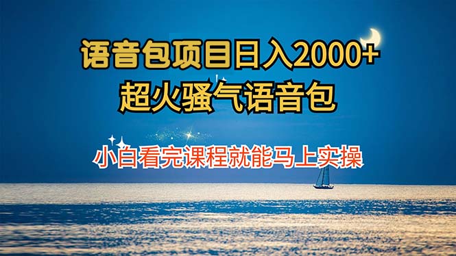 语音包项目 日入2000+ 超火骚气语音包小白看完课程就能马上实操-云网创