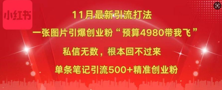 小红书11月最新图片打粉，一张图片引爆创业粉，“预算4980带我飞”，单条引流500+精准创业粉-云网创