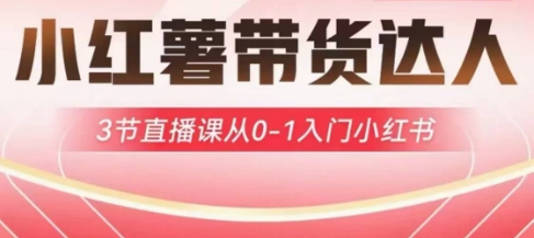 小红薯达人带货启航计划，3节直播课从0-1入门小红书-云网创