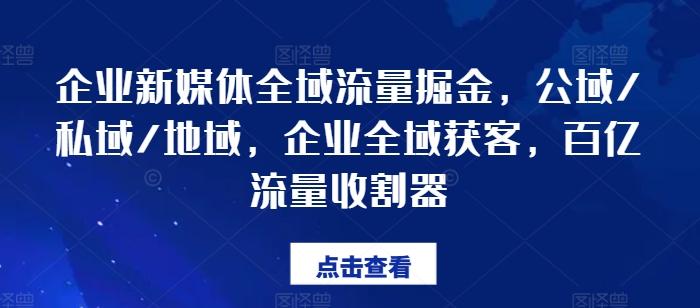 企业新媒体全域流量掘金，公域/私域/地域，企业全域获客，百亿流量收割器-云网创
