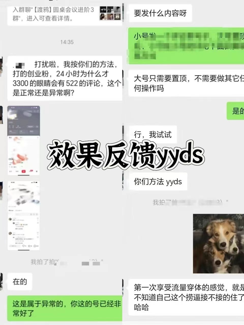 图片[3]-抖音小红书视频号全平台引流打法，全自动引流日引2000+精准客户-云网创