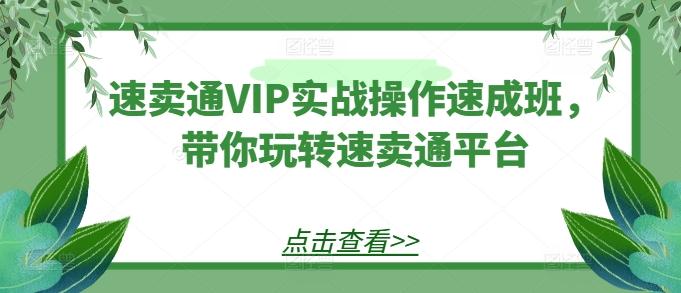 速卖通VIP实战操作速成班，带你玩转速卖通平台-云网创