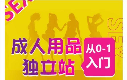 成人用品独立站从0-1入门，成品独立站运营全流程教学，七大好卖成品独立站推荐-云网创