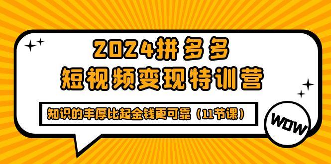 (9817期)2024拼多多短视频变现特训营，知识的丰厚比起金钱更可靠(11节课)-云网创