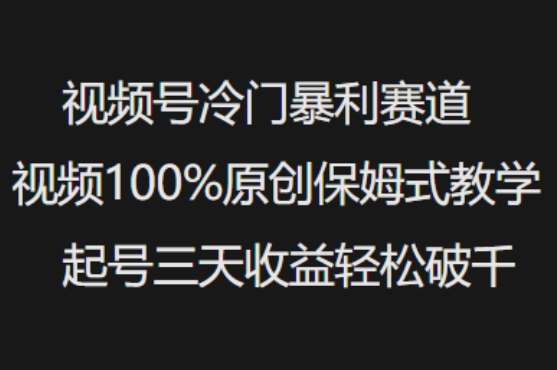 视频号冷门暴利赛道视频100%原创保姆式教学起号三天收益轻松破千-云网创