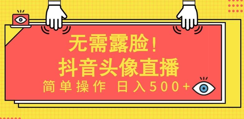 无需露脸，Ai头像直播项目，简单操作日入500+【揭秘】-云网创