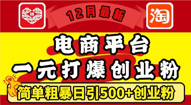 12月最新:电商平台1元打爆创业粉,简单粗暴日引500+精准创业粉,轻松月入过W【揭秘】-云网创