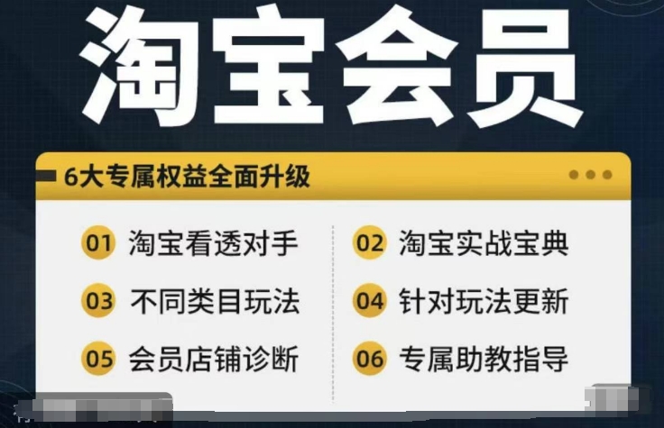 淘宝会员【淘宝所有课程，全面分析对手】，初级到高手全系实战宝典-云网创