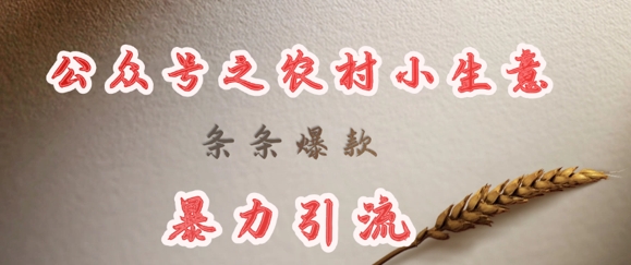 deepseek写农村小项目，条条爆款，暴力引流-云网创