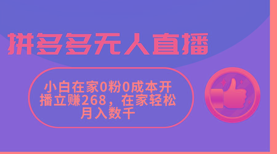 拼多多无人直播，小白在家0粉0成本开播立赚268，在家轻松月入数千-云网创