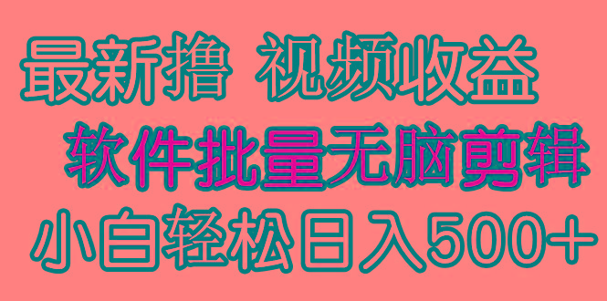 (9569期)发视频撸收益，软件无脑批量剪辑，第一天发第二天就有钱-云网创