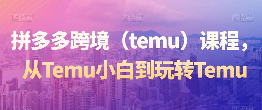 拼多多跨境（temu）课程，从Temu小白到玩转Temu-云网创