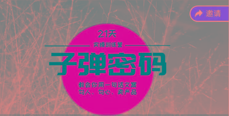 《子弹密码训练营》-用一句话文案勾人勾心卖产品,21天学到顶尖文案大师策略和技巧-云网创