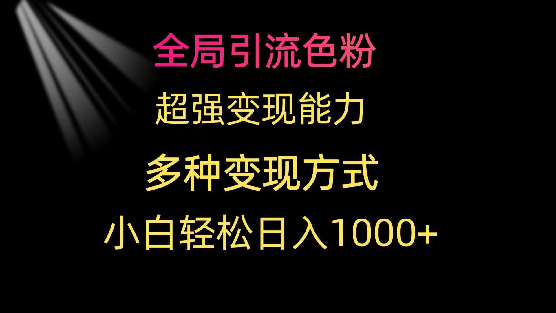 (9680期)全局引流色粉 超强变现能力 多种变现方式 小白轻松日入1000+-云网创