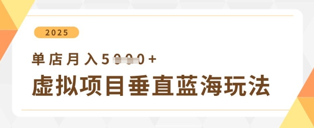 虚拟项目垂直玩法，实现单店月入5k+-云网创