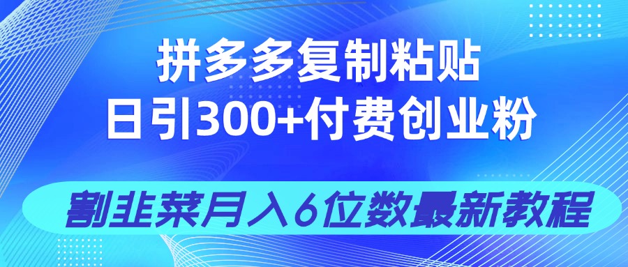 拼多多复制粘贴日引300+付费创业粉,割韭菜月入6位数最新教程!-云网创