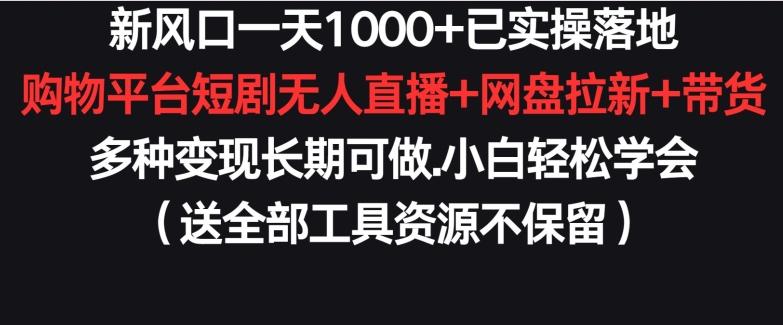 新风口一天1000+已实操落地购物平台短剧无人直播+网盘拉新+带货多种变现长期可做【揭秘】-云网创