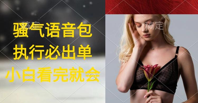 (9589期)执行就出单,日入2000+,超火骚气语音包,小白看完课程就能马上实操-云网创