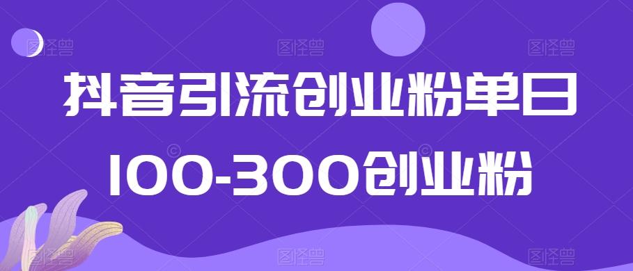 抖音引流创业粉单日100-300创业粉【揭秘】-云网创