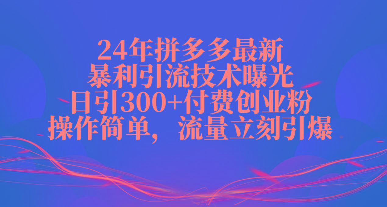 24年拼多多最新暴利引流技术曝光，日引300+付费创业粉，操作简单，流量...-云网创