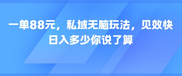 一单88元,私域无脑玩法,见效快,日入多少你说了算-云网创