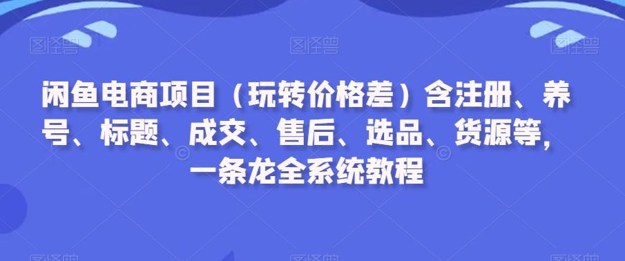 闲鱼电商项目(玩转价格差)含注册、养号、标题、成交、售后、选品、货源等，一条龙全系统教程-云网创