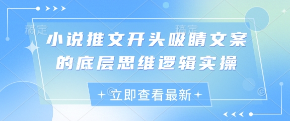 小说推文开头吸睛文案的底层思维逻辑实操-云网创
