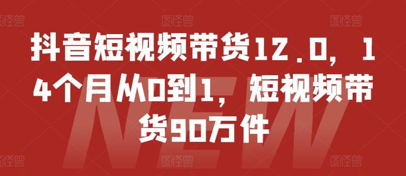 抖音短视频带货12.0，14个月从0到1，短视频带货90万件-云网创