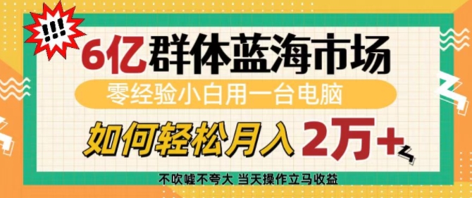 6亿群体蓝海市场，零经验小白用一台电脑，如何轻松月入过w【揭秘】-云网创