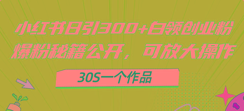 小红书日引300+高质白领创业粉,可放大操作,爆粉秘籍!30s一个作品-云网创
