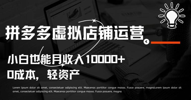 拼多多虚拟店铺运营小白也能月收入10000+【揭秘】-云网创