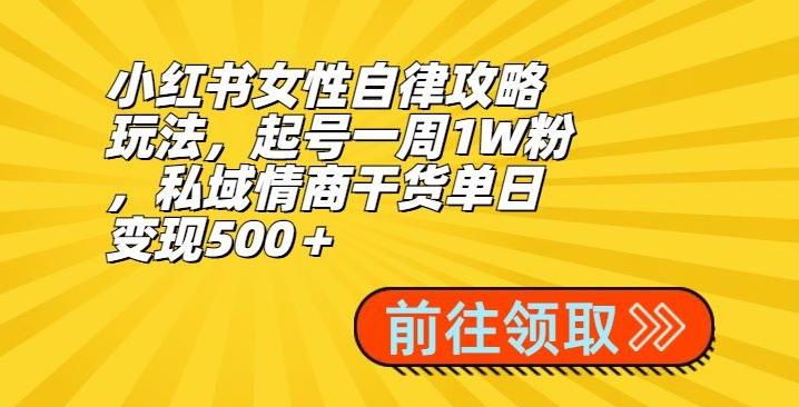 小红书女性自律攻略玩法，起号一周1W粉，私域情商干货单日变现500＋-云网创