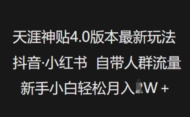 天涯神贴4.0版本最新玩法，抖音·小红书自带人群流量，新手小白轻松月入过W-云网创