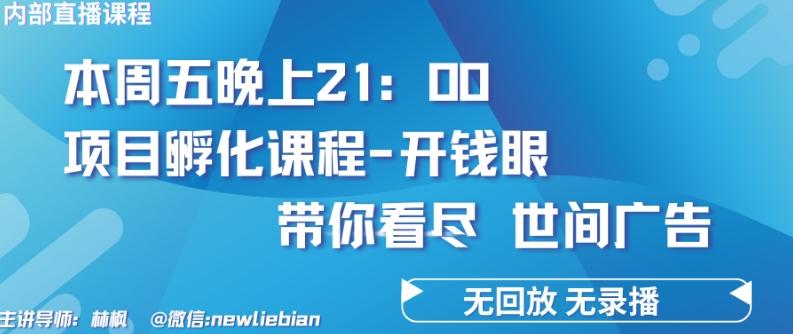 4.26日内部回放课程《项目孵化-开钱眼》赚钱的底层逻辑【揭秘】-云网创