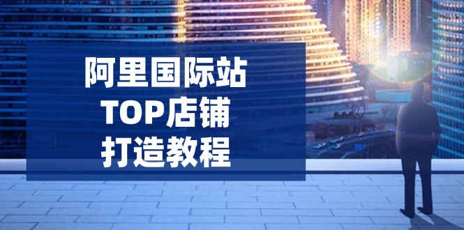阿里国际站TOP店铺打造教程：涵盖平台到高阶，解决运营难题，提升询盘-云网创