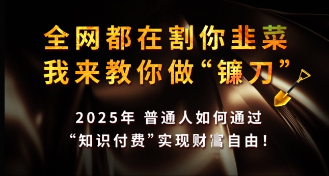 全网都在割你韭菜，我来教你做镰刀，2025年普通人如何通过 知识付费 实现财F自由【揭秘】-云网创