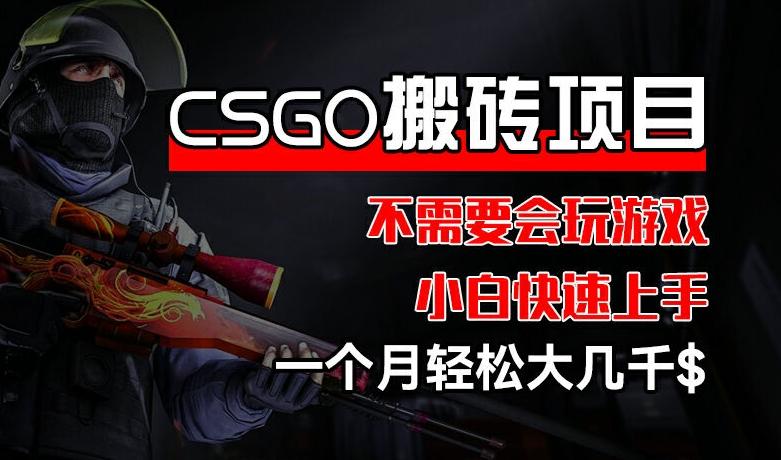 CSGO 装备搬砖项目，操作简单，不需要会玩游戏，小白也能快速上手，一个月轻松大几千【揭秘】-云网创