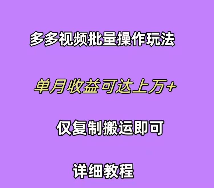 (10029期)拼多多视频带货快速过爆款选品教程 每天轻轻松松赚取三位数佣金 小白必...-云网创