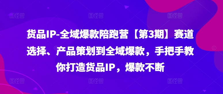 货品IP全域爆款陪跑营【第3期】赛道选择、产品策划到全域爆款，手把手教你打造货品IP，爆款不断-云网创