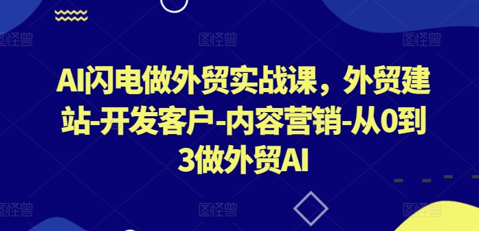 AI闪电做外贸实战课，​外贸建站-开发客户-内容营销-从0到3做外贸AI(更新)-云网创