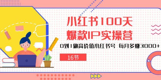 小红书100天-爆款IP实操营，0到1做高价值小红书号 每月多赚3000+(16节-云网创