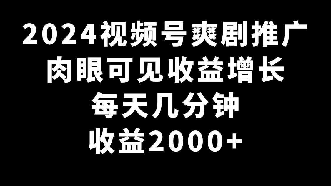 2024视频号爽剧推广，肉眼可见的收益增长，每天几分钟收益2000+-云网创