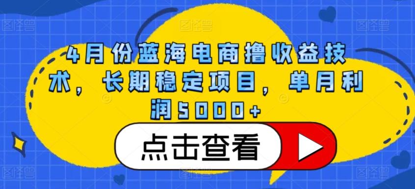 4月份蓝海电商撸收益技术,长期稳定项目,单月利润5000+【揭秘】-云网创