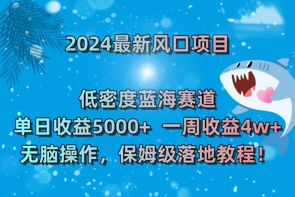 (8545期)2024最新风口项目 低密度蓝海赛道，日收益5000+周收益4w+ 无脑操作，保...-云网创