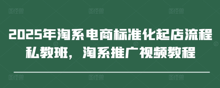 2025年淘系电商标准化起店流程私教班，淘系推广视频教程-云网创