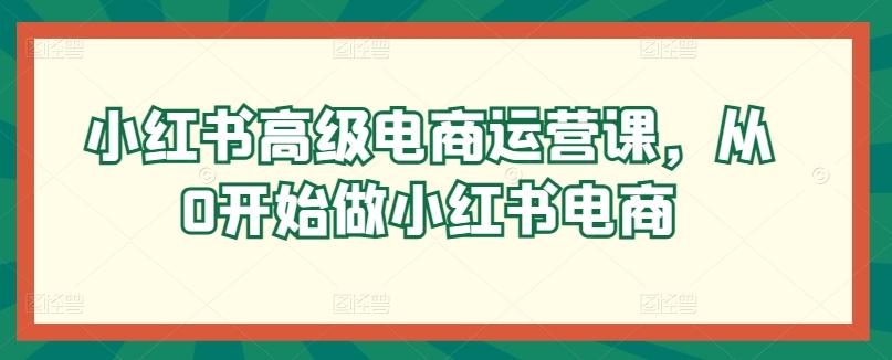 小红书高级电商运营课，从0开始做小红书电商-云网创