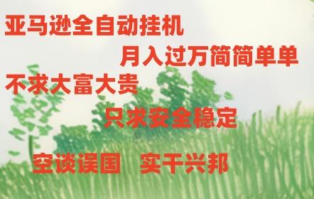 亚马逊全自动浏览挂机-云网创