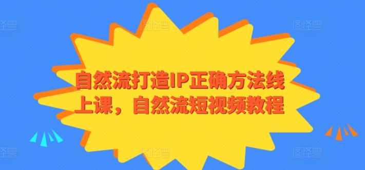 自然流打造IP正确方法线上课，自然流短视频教程-云网创