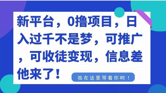 不要再花冤枉钱了,0撸项目,每天坚持,稳定1000+-云网创