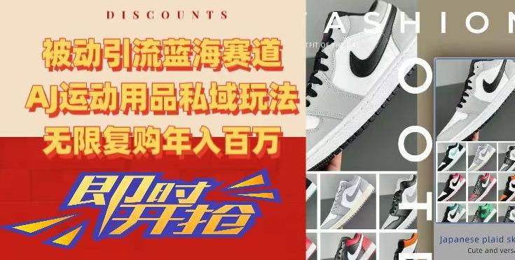 被动引流蓝海赛道，AJ运动用品私域玩法，无限复购年入百万【揭秘】-云网创